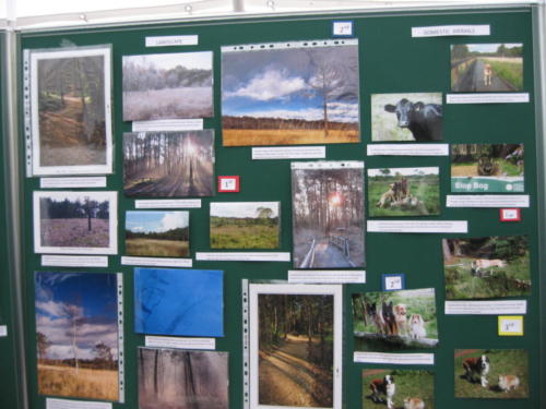 Photo competition entries